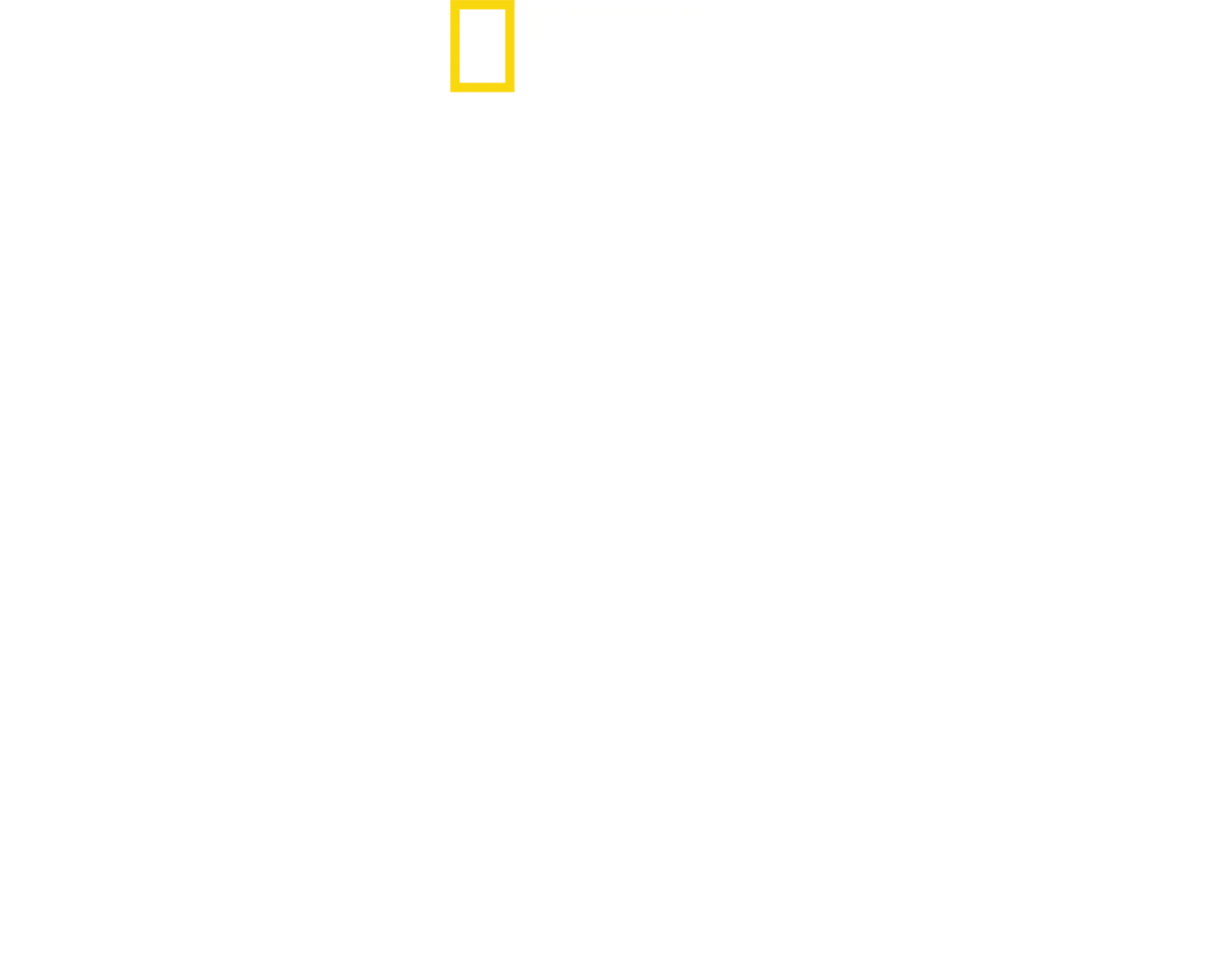 6 juin 1944 : Témoins du débarquement