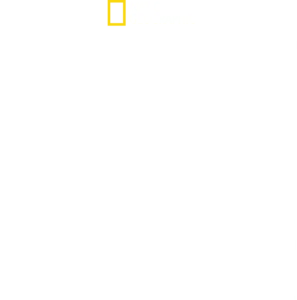 D-Day: gli occhi del testimone