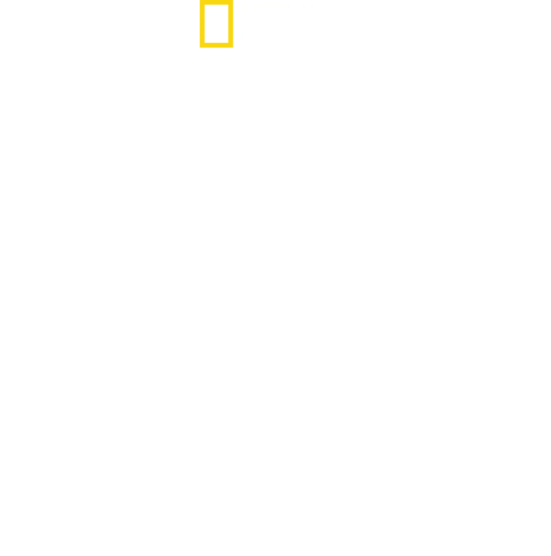 D-Day: gli occhi del testimone