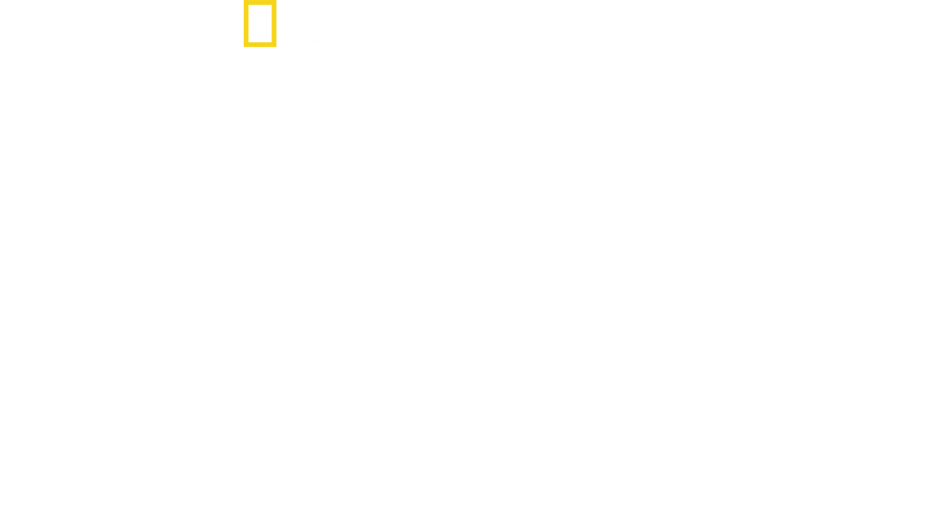 Testemunho: Dia D