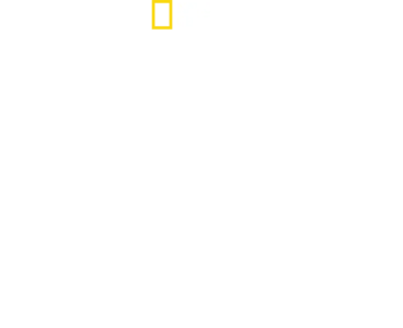 Testemunho: Dia D