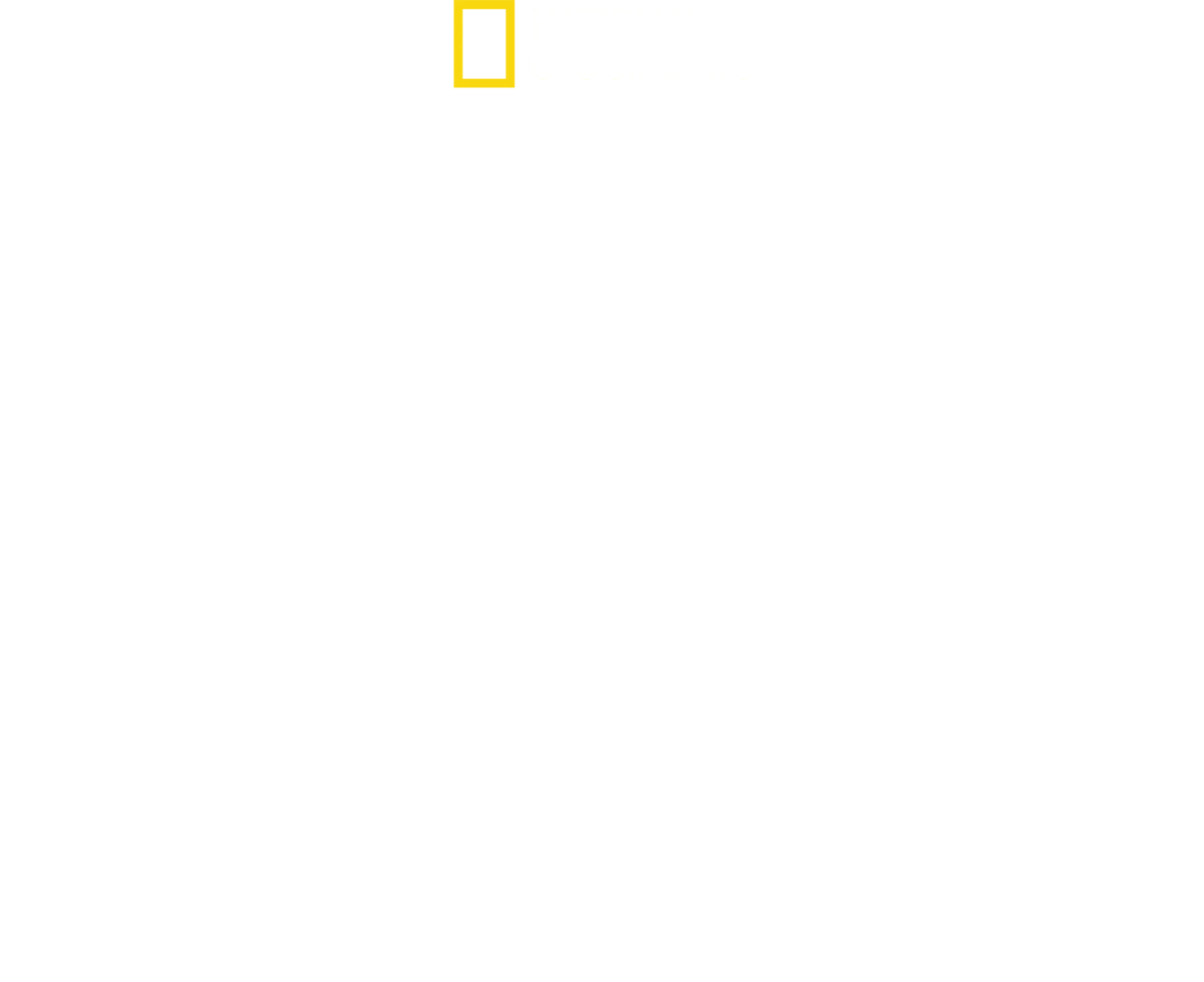 Testemunho: Dia D