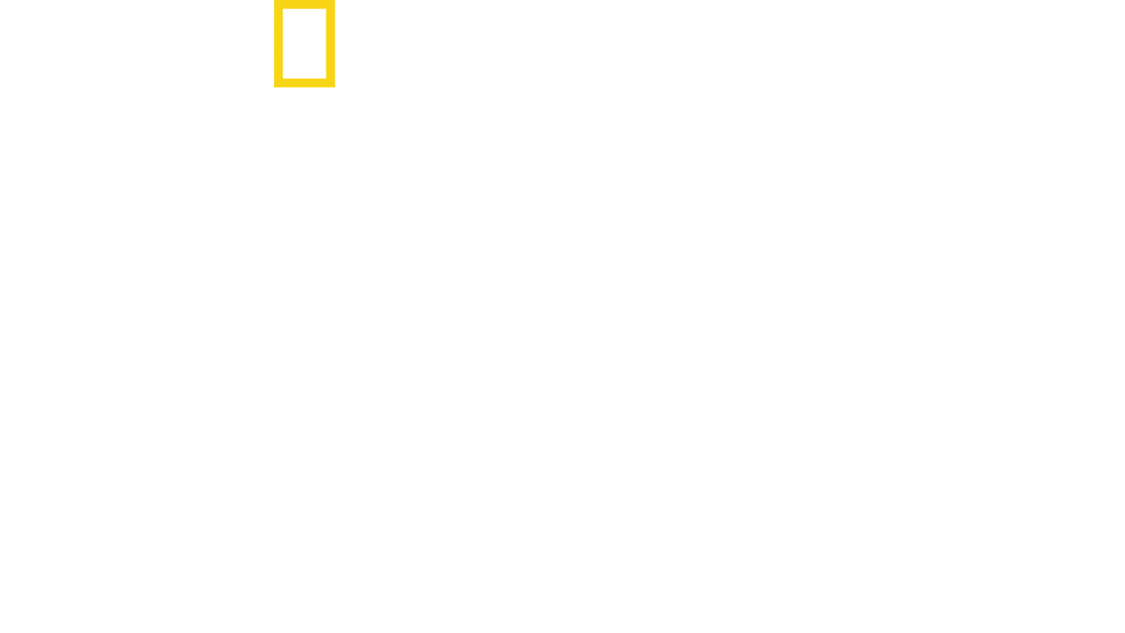 诺曼底登陆: 目击者