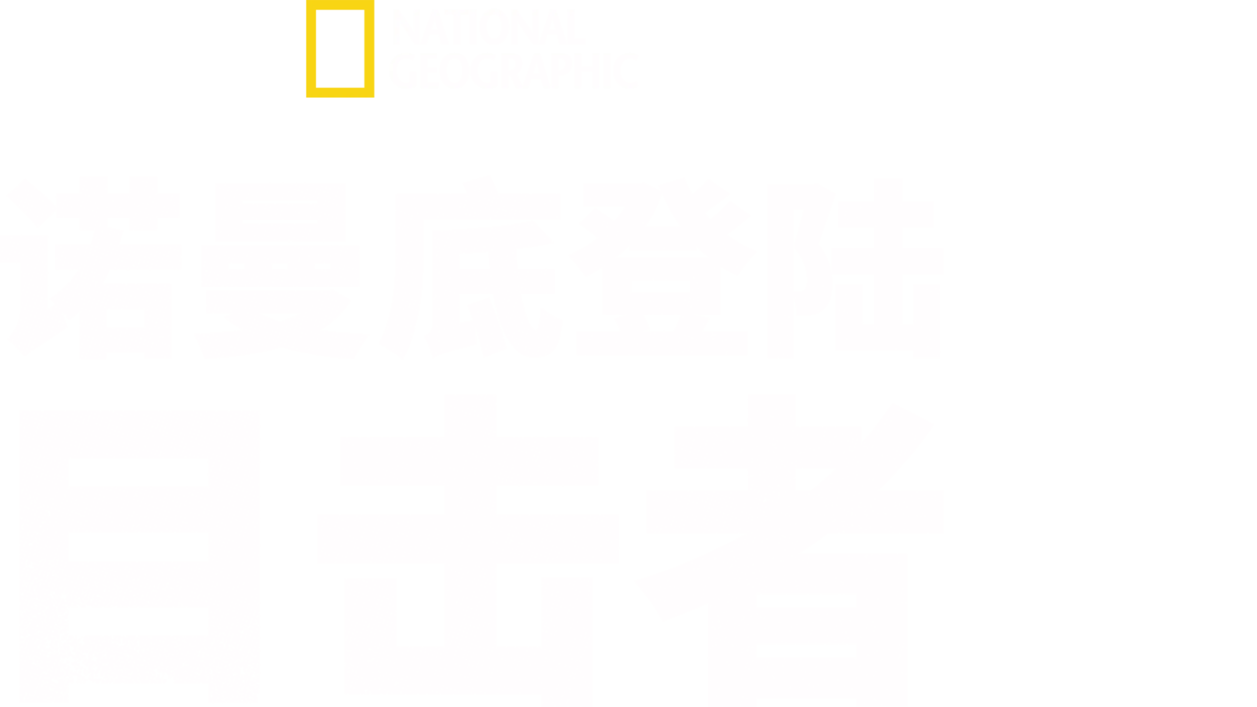 诺曼底登陆: 目击者