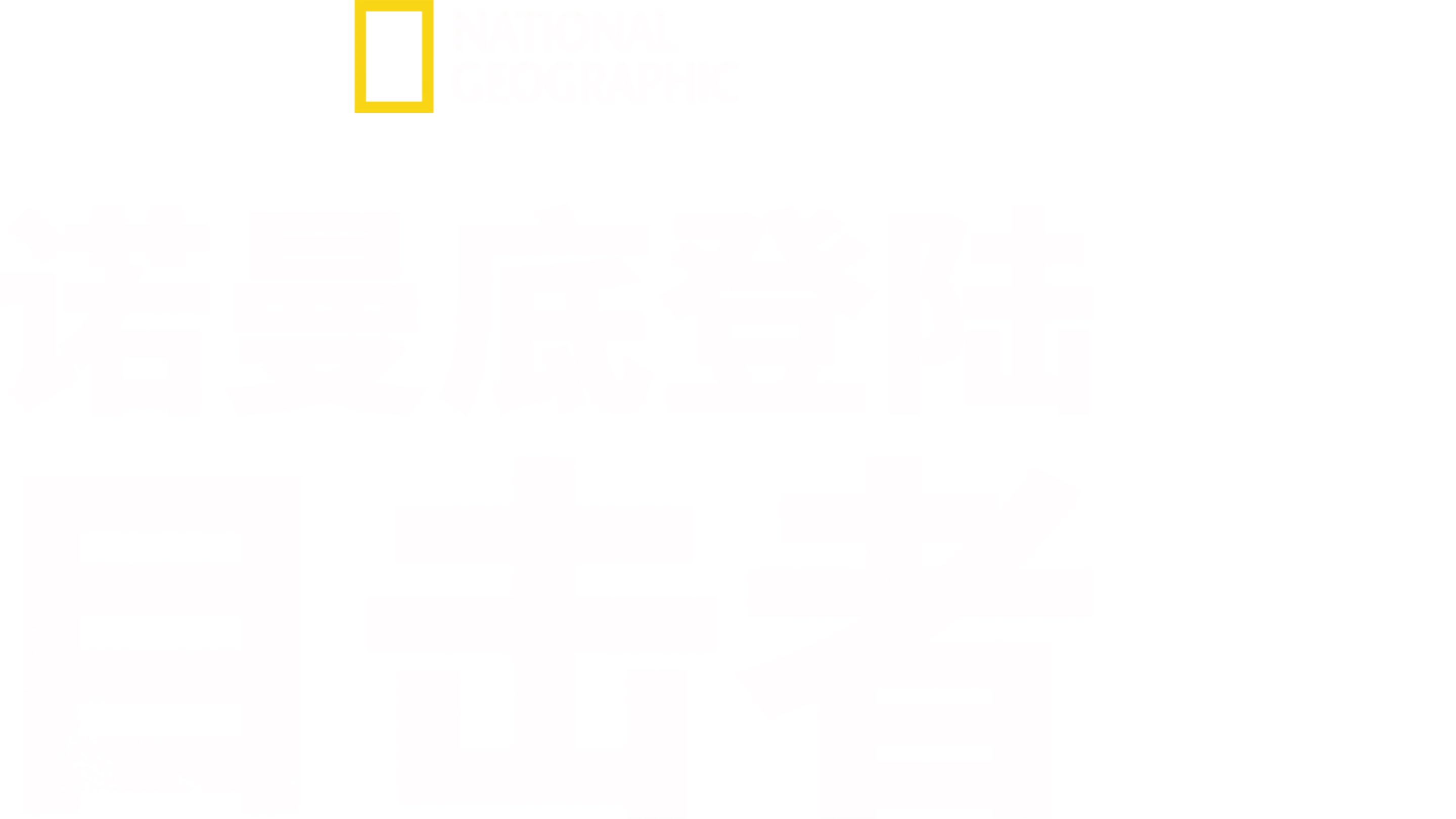 诺曼底登陆: 目击者