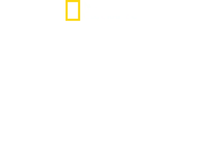 诺曼底登陆: 目击者