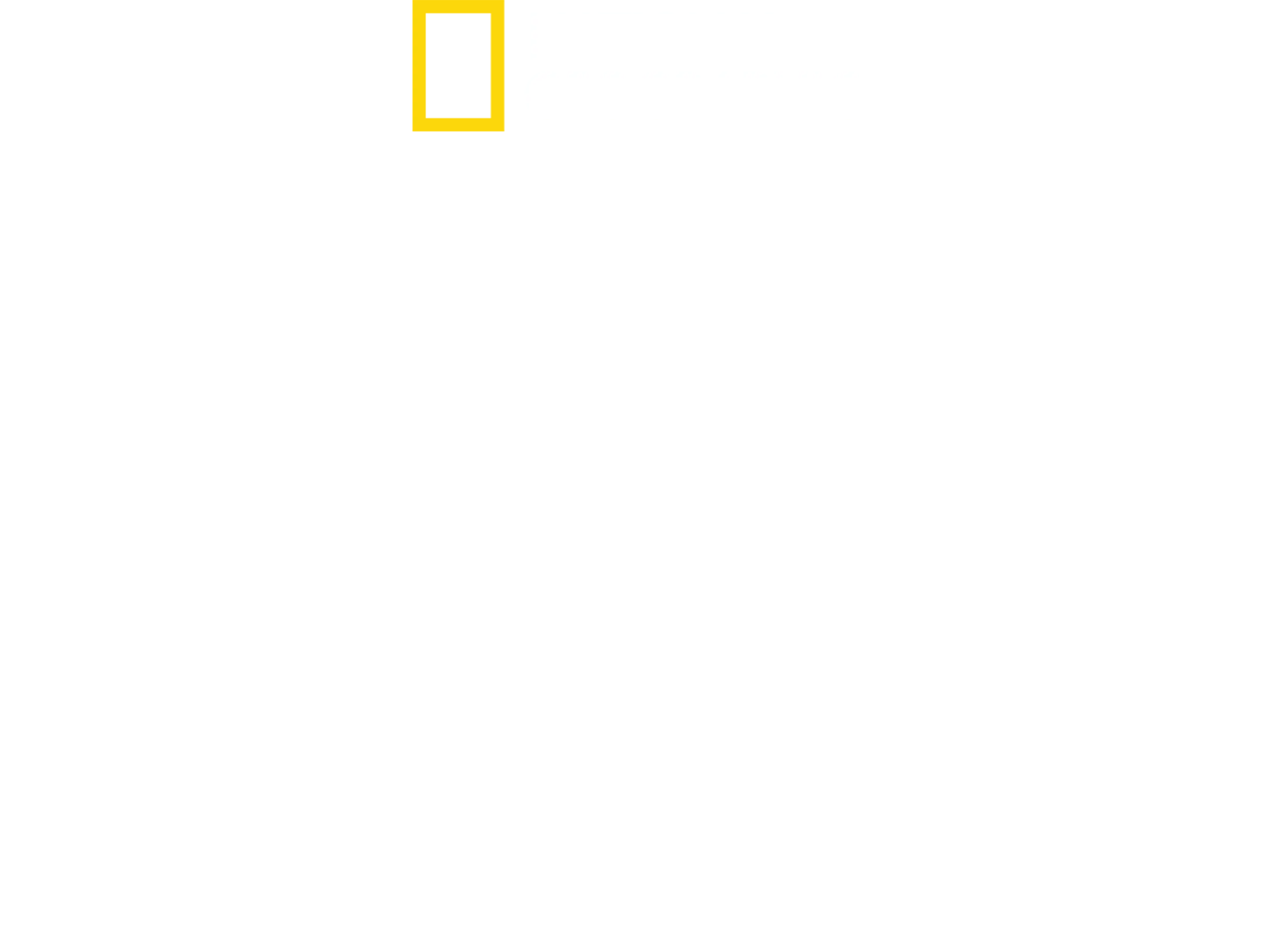 诺曼底登陆: 目击者