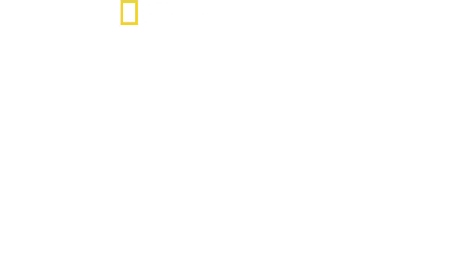 6 juin 1944 : Témoins du débarquement