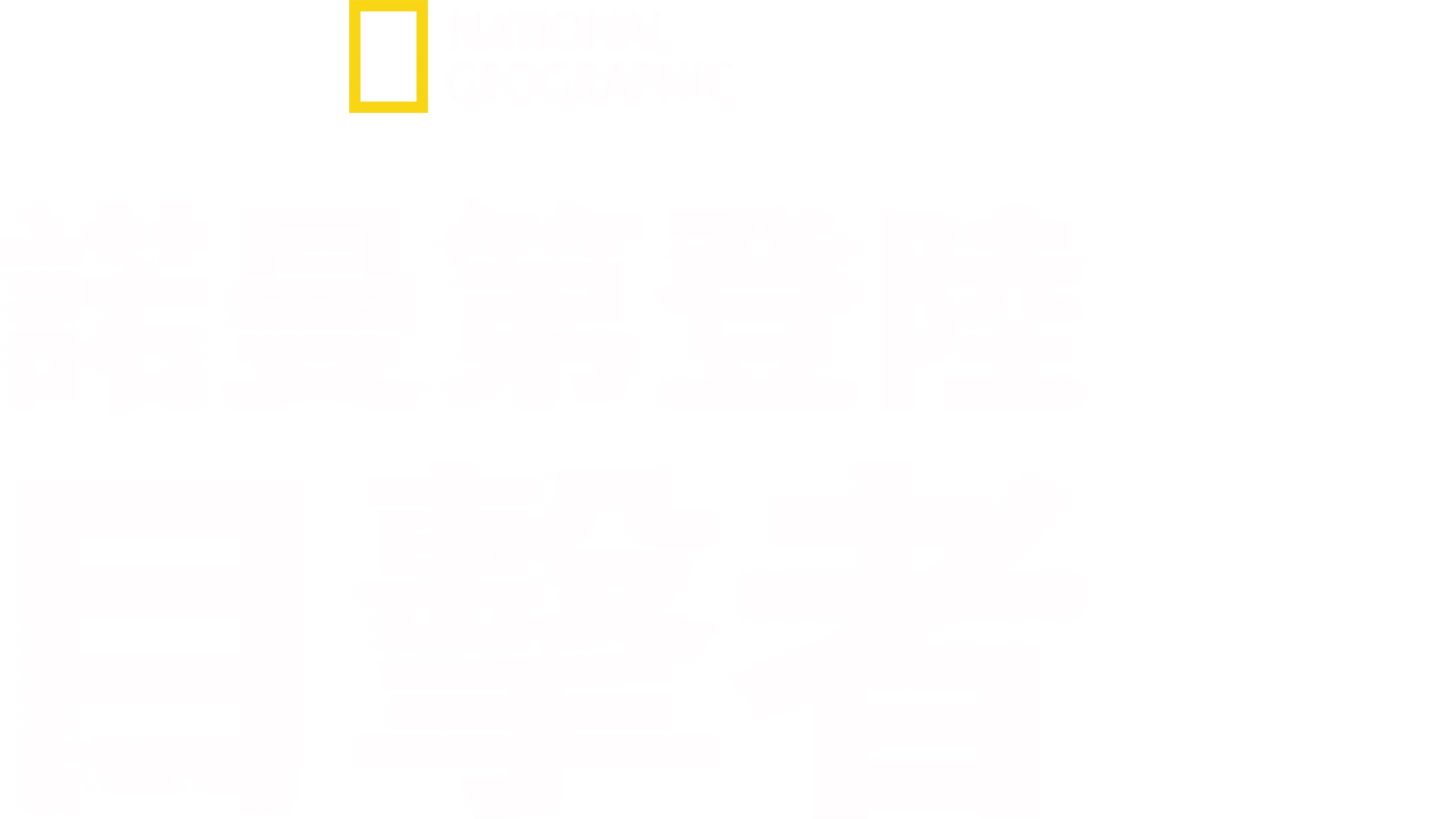 諾曼第登陸: 目擊者