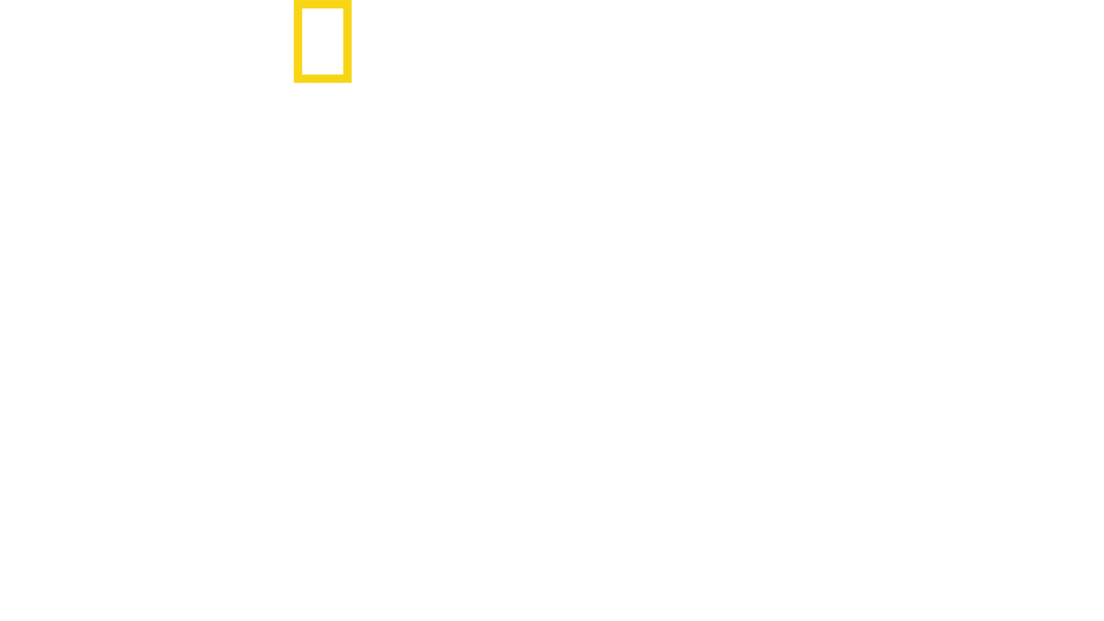 Bohaterowie D-Day