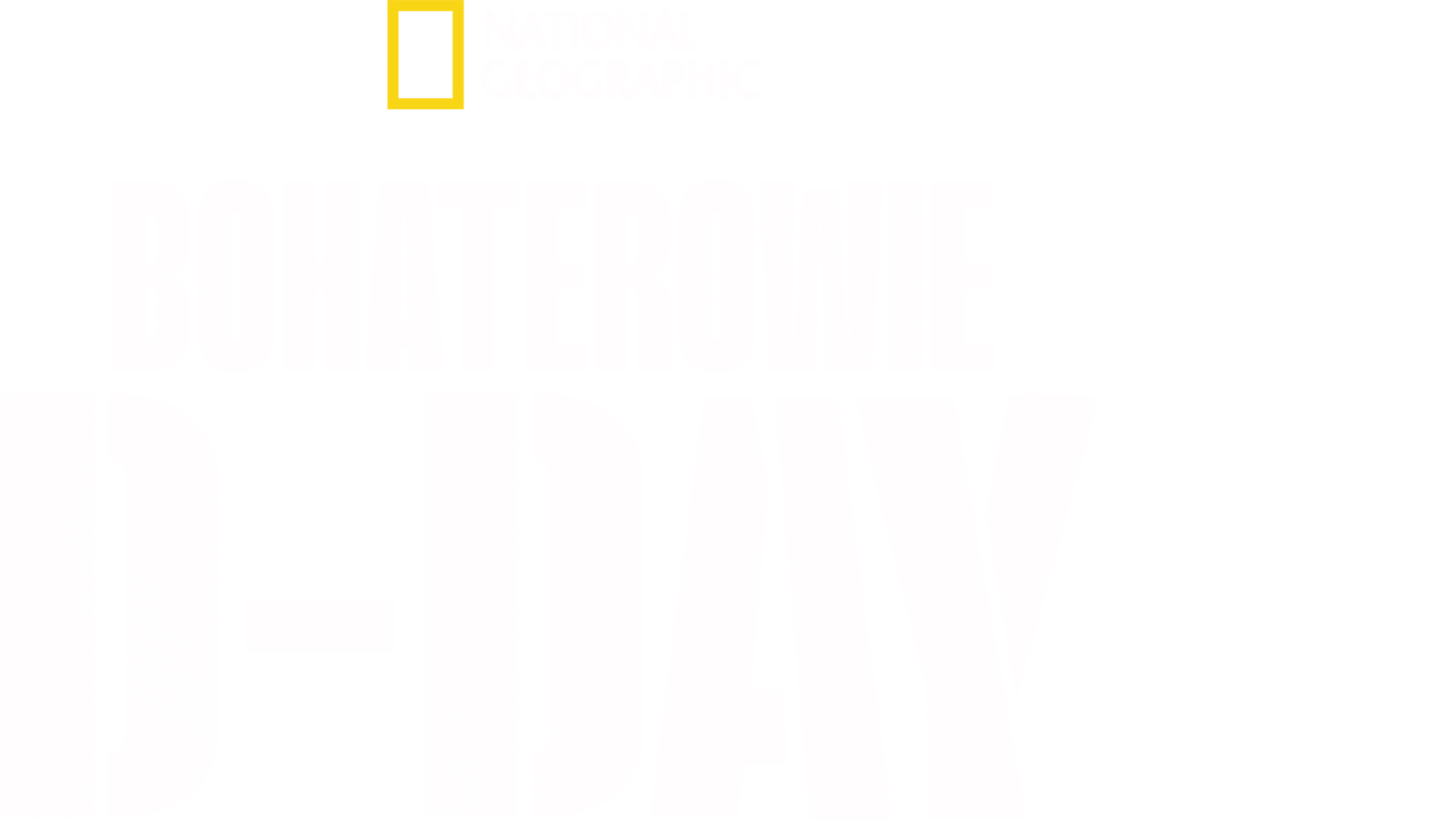 Bohaterowie D-Day