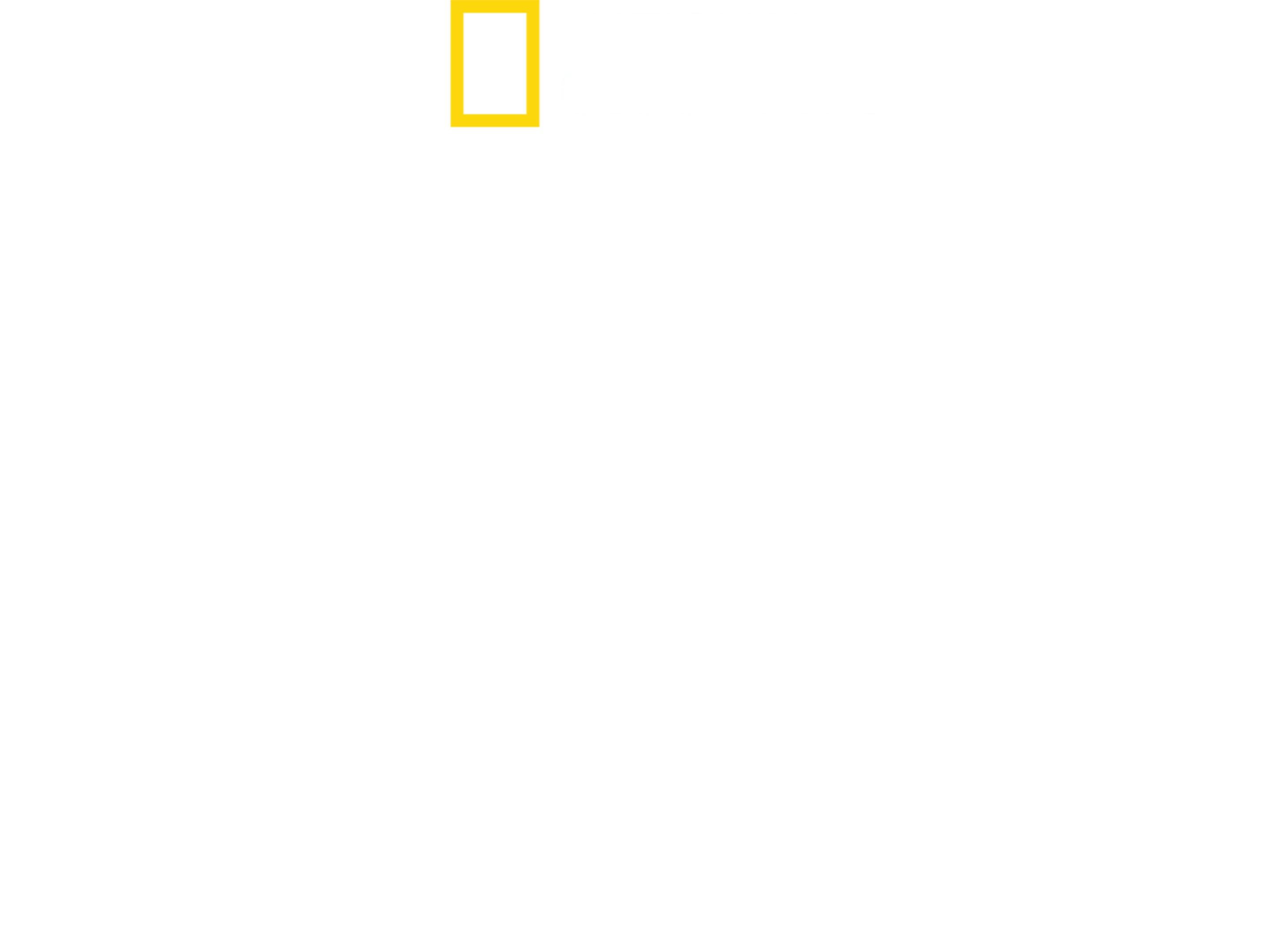 Bohaterowie D-Day