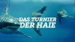 thumbnail - Das Turnier der Haie