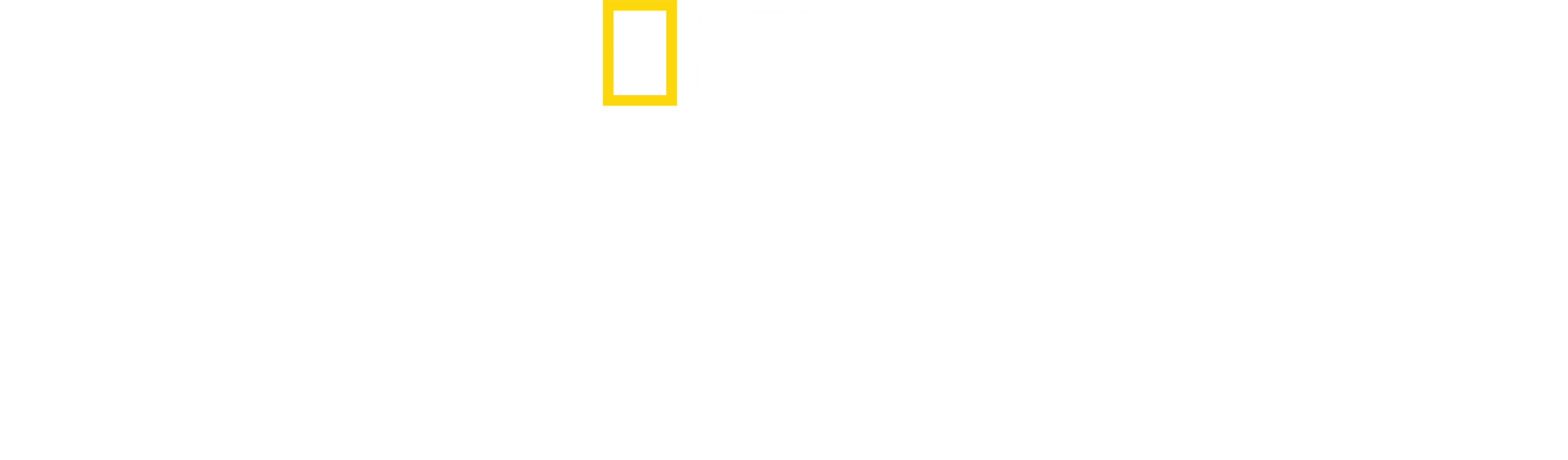 鲨鱼争霸战