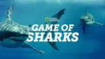 thumbnail - Game of Sharks