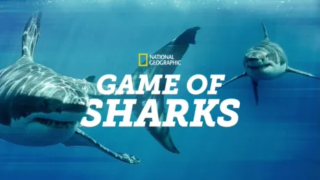 thumbnail - Game of Sharks