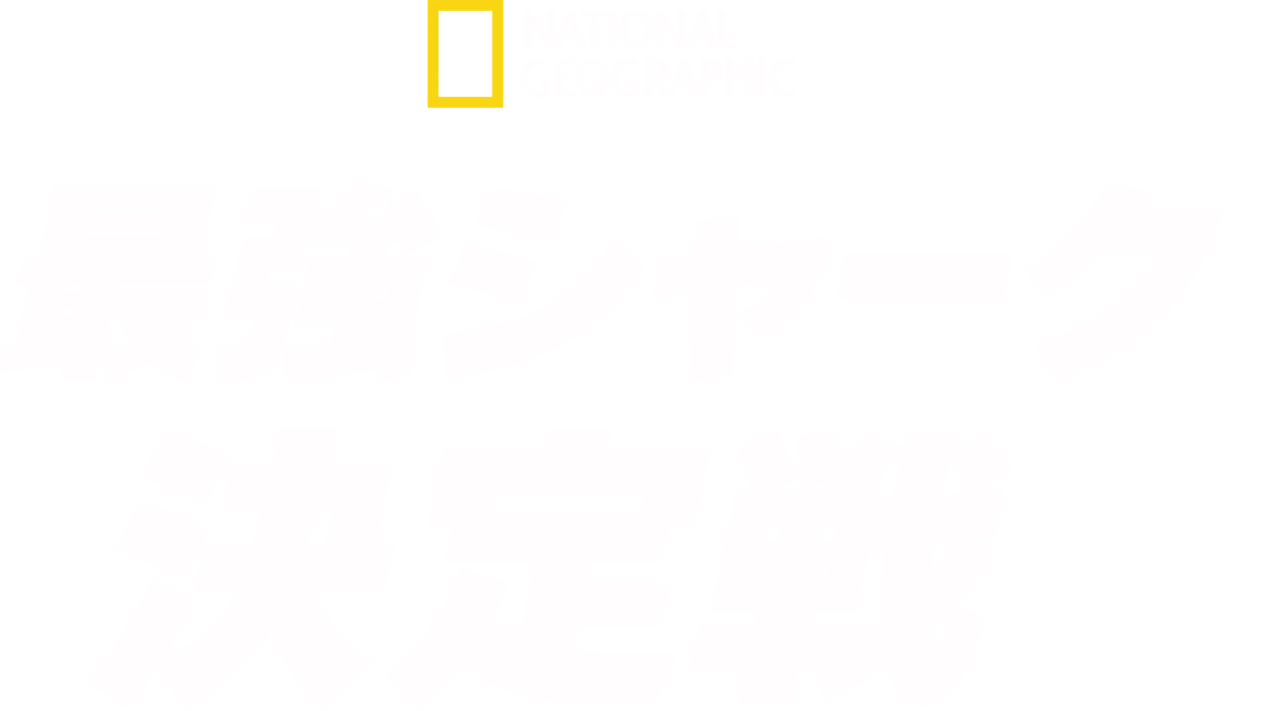 最強シャーク決定戦