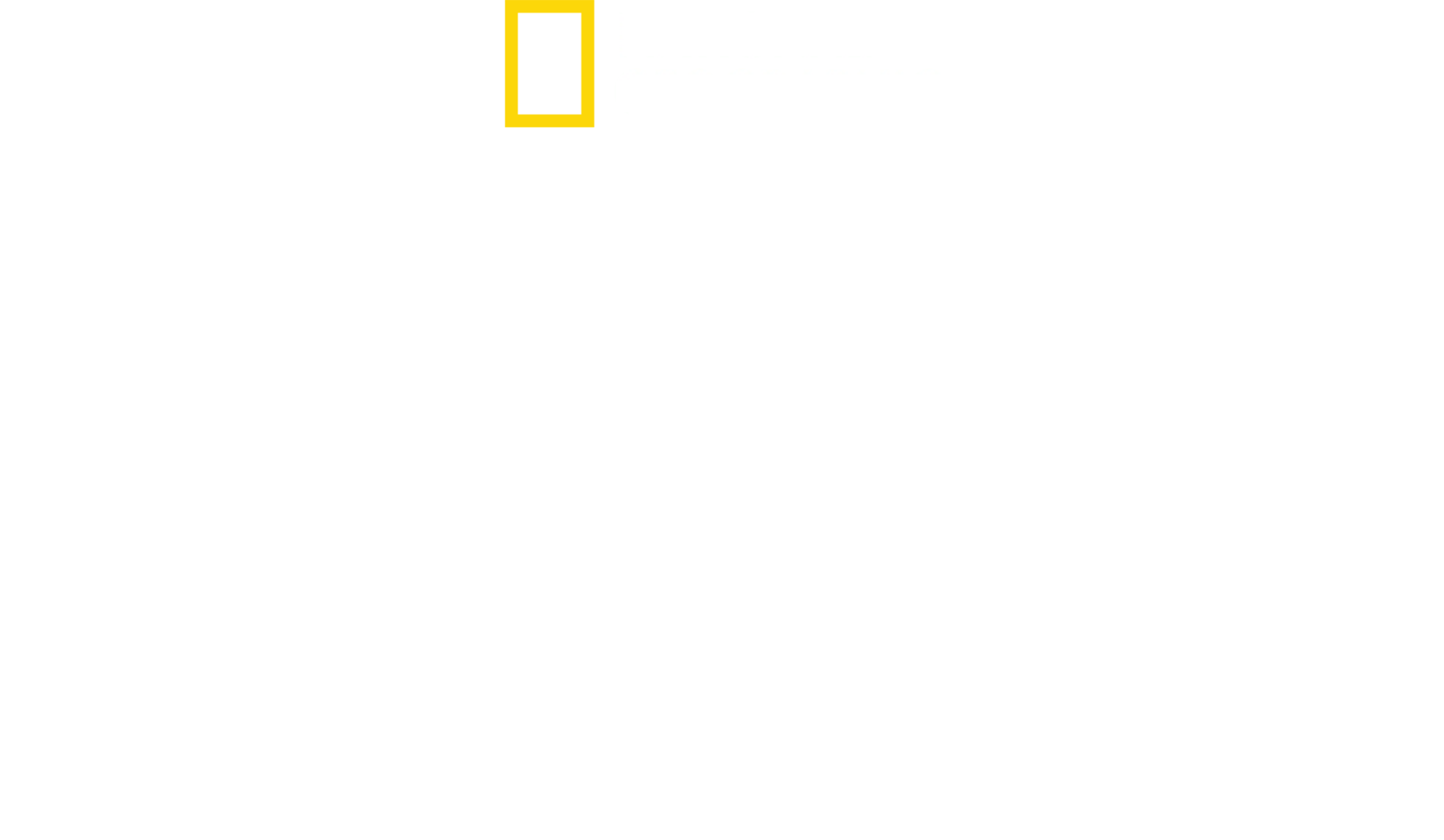 最強シャーク 王座決定戦！