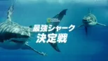 thumbnail - 最強シャーク決定戦
