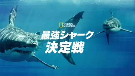 thumbnail - 最強シャーク 王座決定戦！