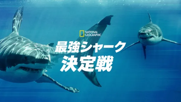 thumbnail - 最強シャーク決定戦