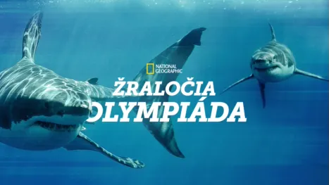 thumbnail - Žraločia olympiáda