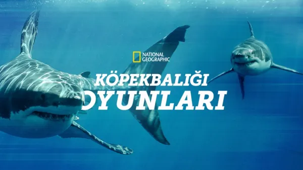 thumbnail - Köpekbalığı Oyunları