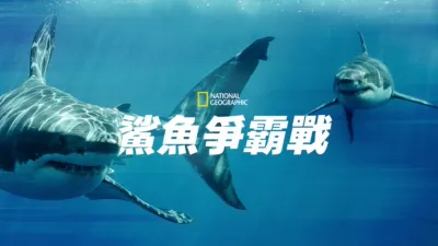 鯊魚爭霸戰