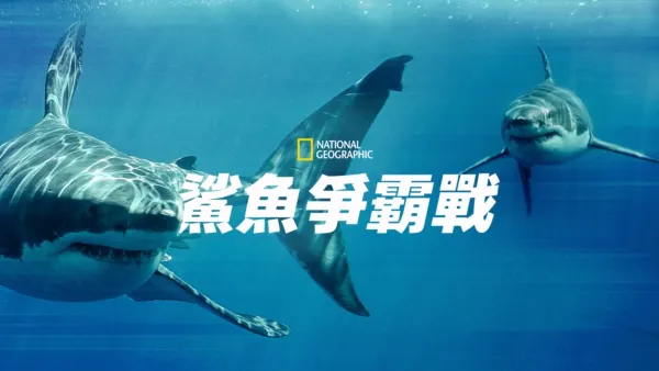 thumbnail - 鯊魚爭霸戰