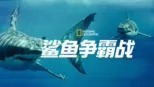 thumbnail - 鲨鱼争霸战