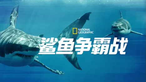 thumbnail - 鲨鱼争霸战