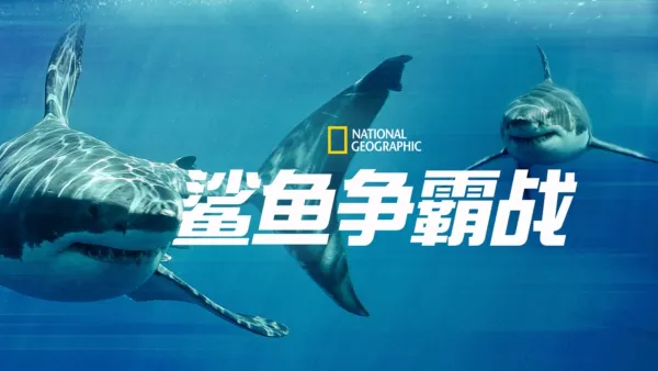 thumbnail - 鲨鱼争霸战