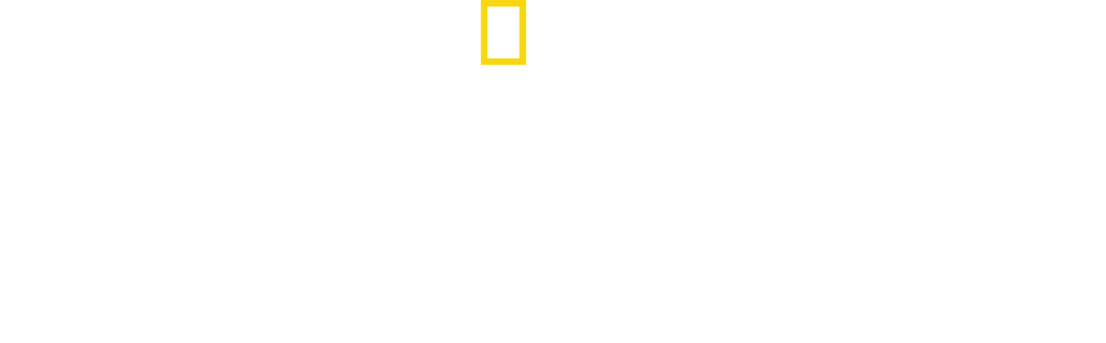 왓 더 샤크?