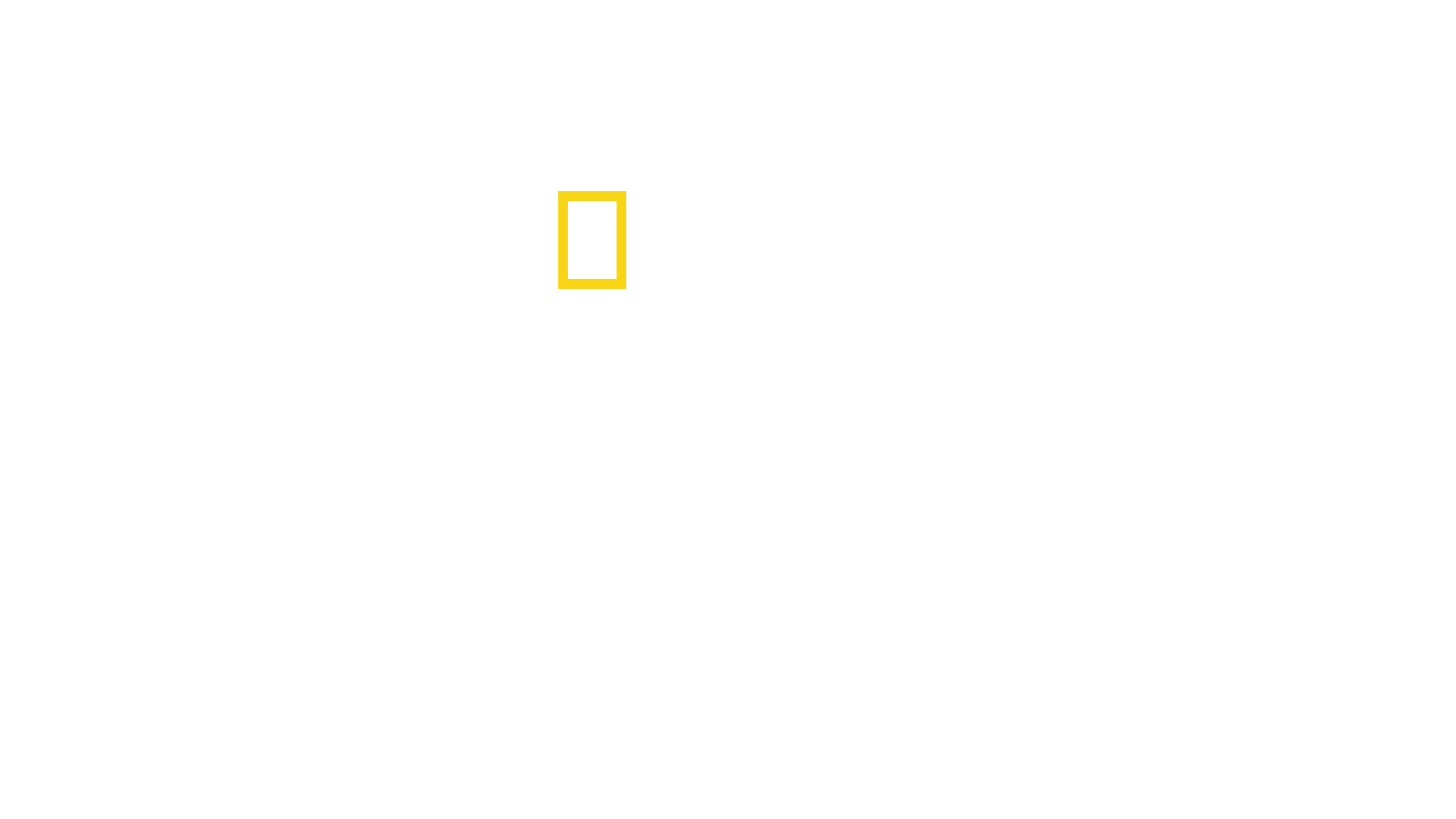 Köpekbalığının Gizemleri