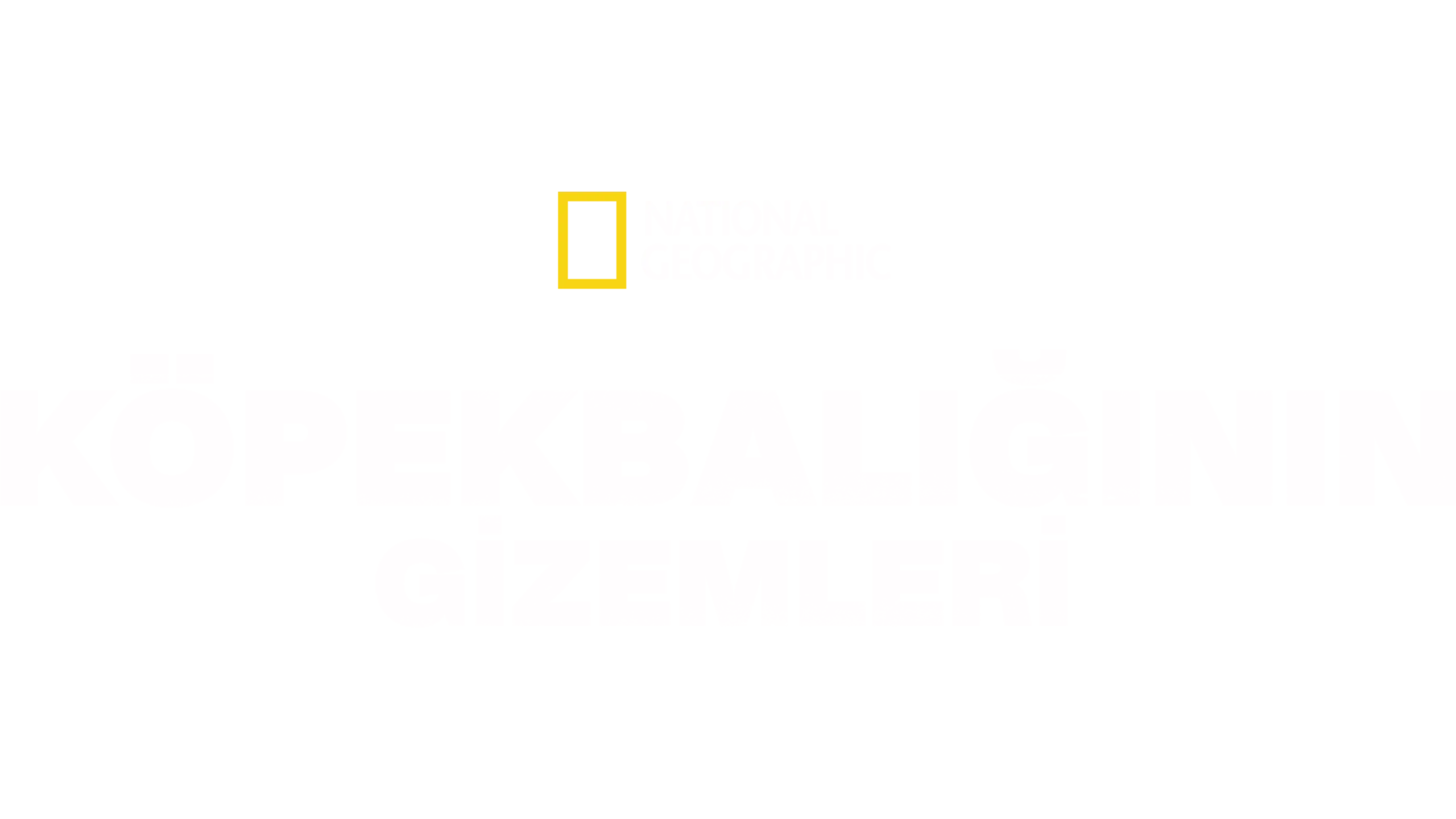 Köpekbalığının Gizemleri
