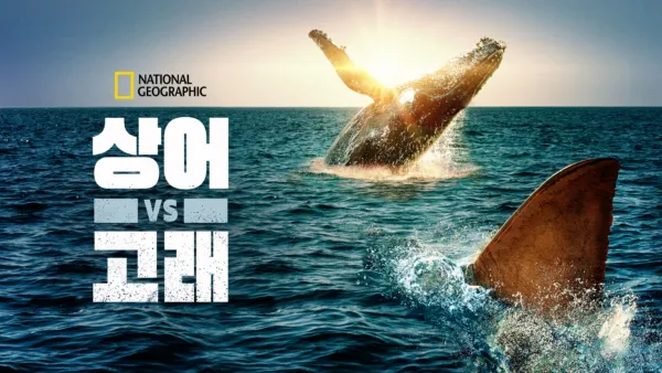 thumbnail - 상어 vs 고래