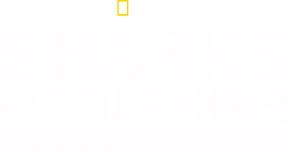 Sharks vs. Dolphins: Blood Battle