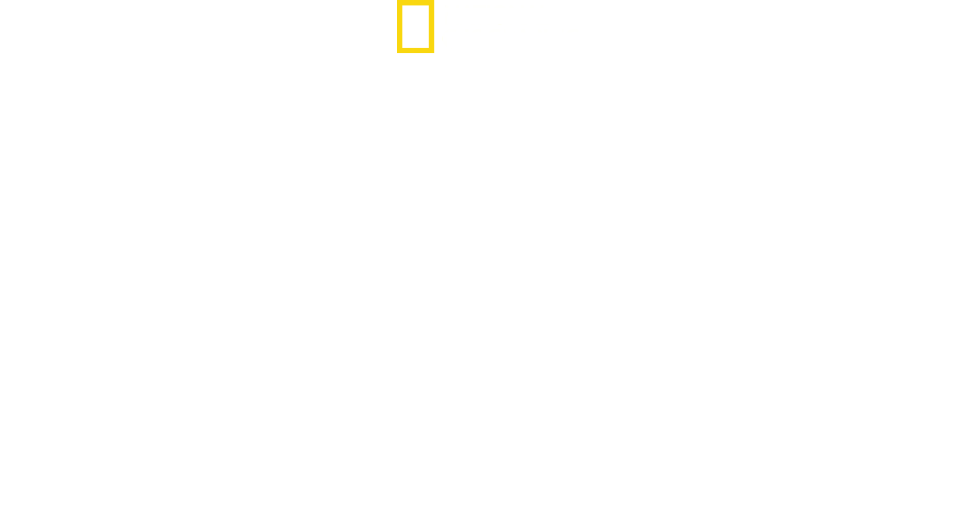 Sharks vs. Dolphins: Blood Battle