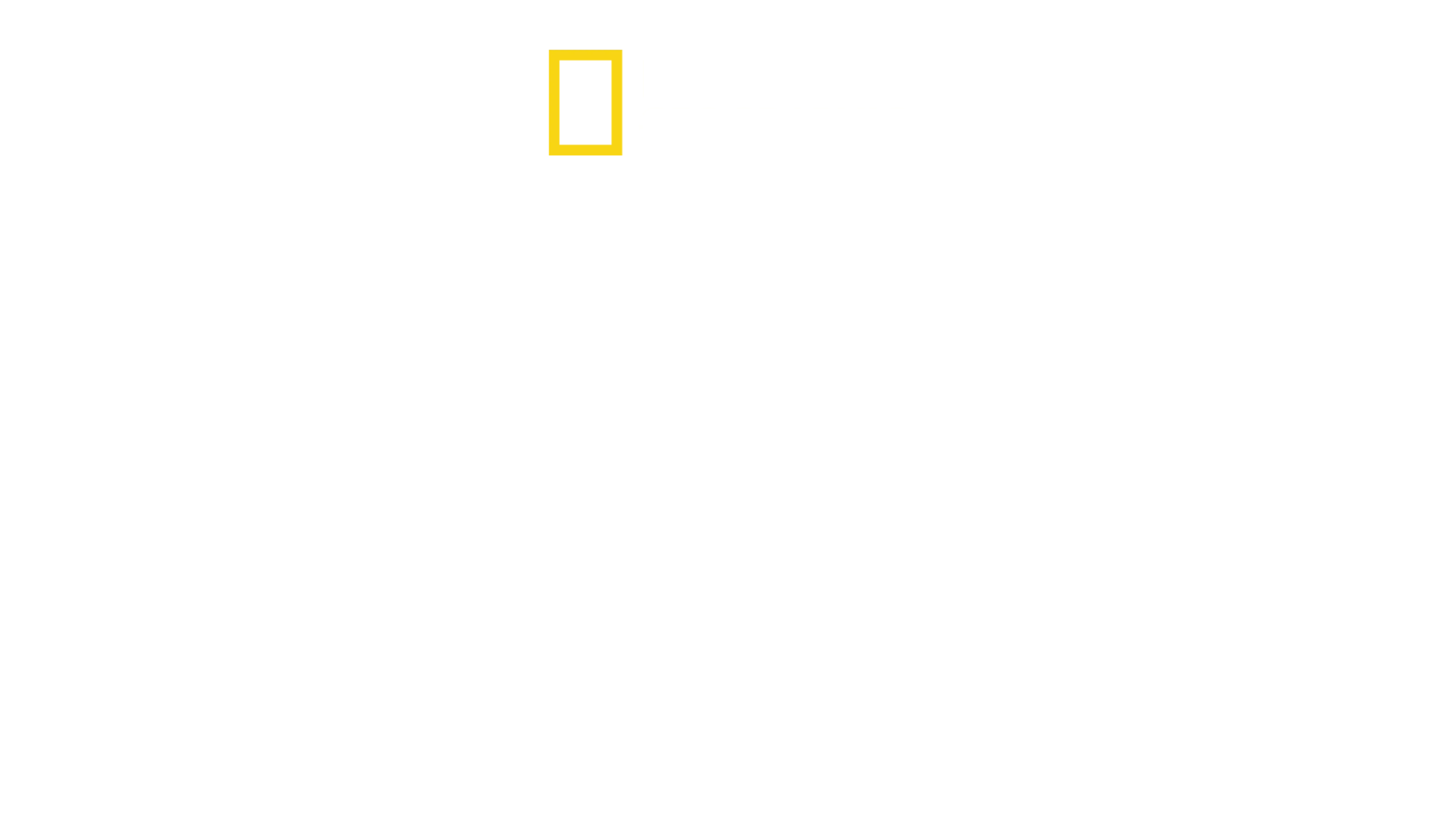 Καρχαρίες Εναντίον Δελφινιών: Αιματηρή Μάχη