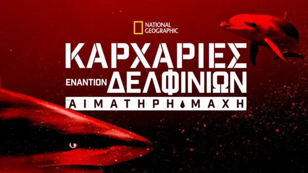 thumbnail - Καρχαρίες Εναντίον Δελφινιών: Αιματηρή Μάχη