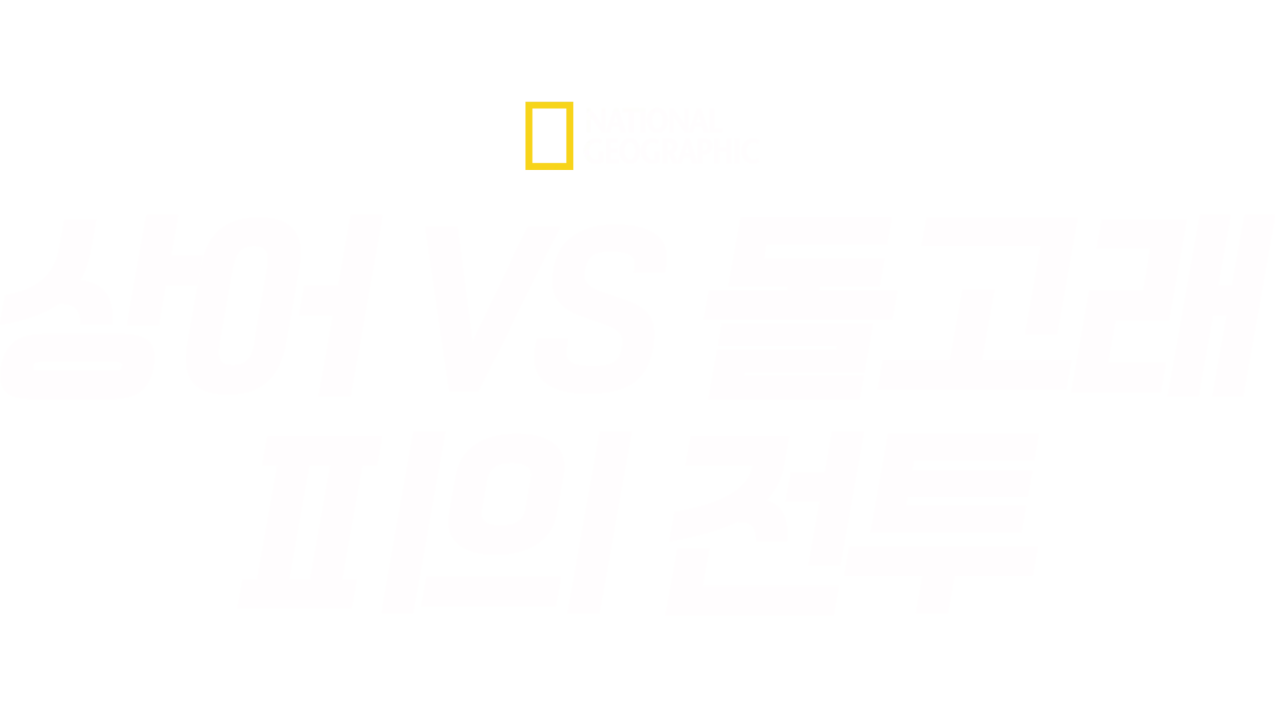 상어 vs 돌고래: 피의 전투