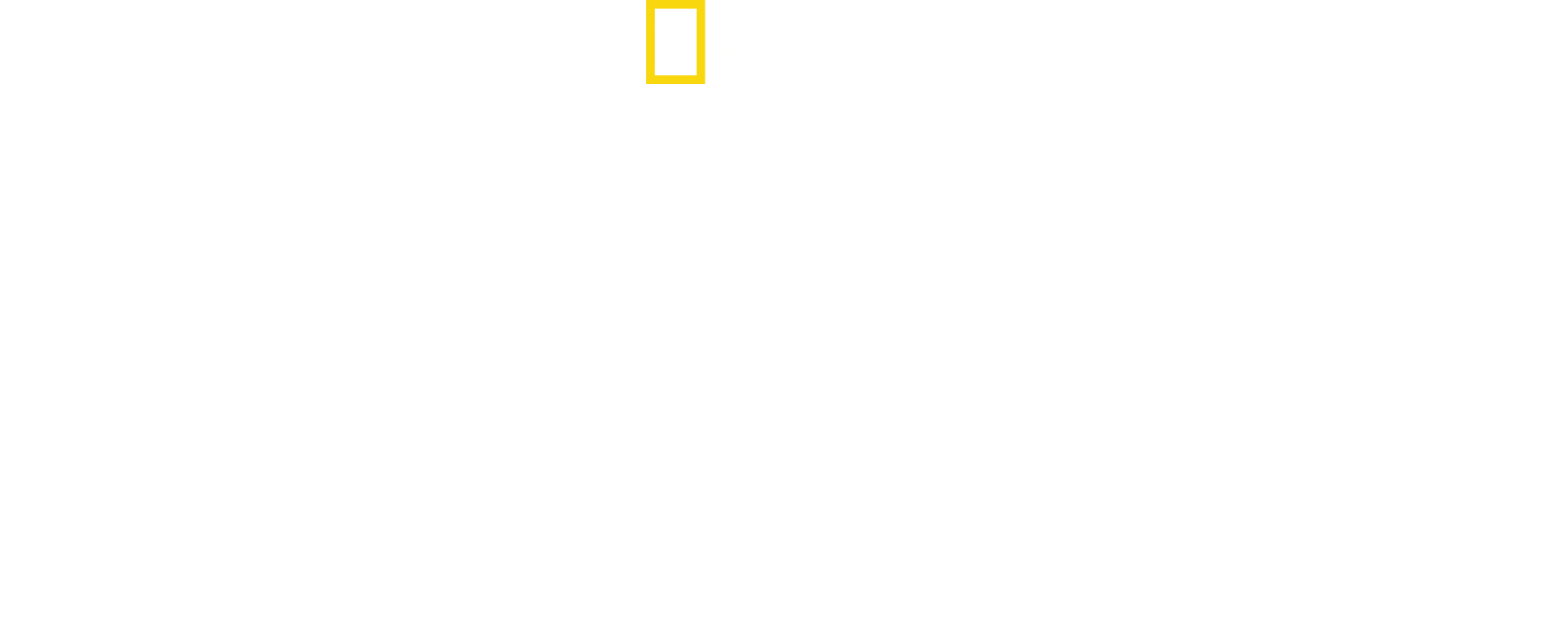 상어 vs 돌고래: 피의 전투