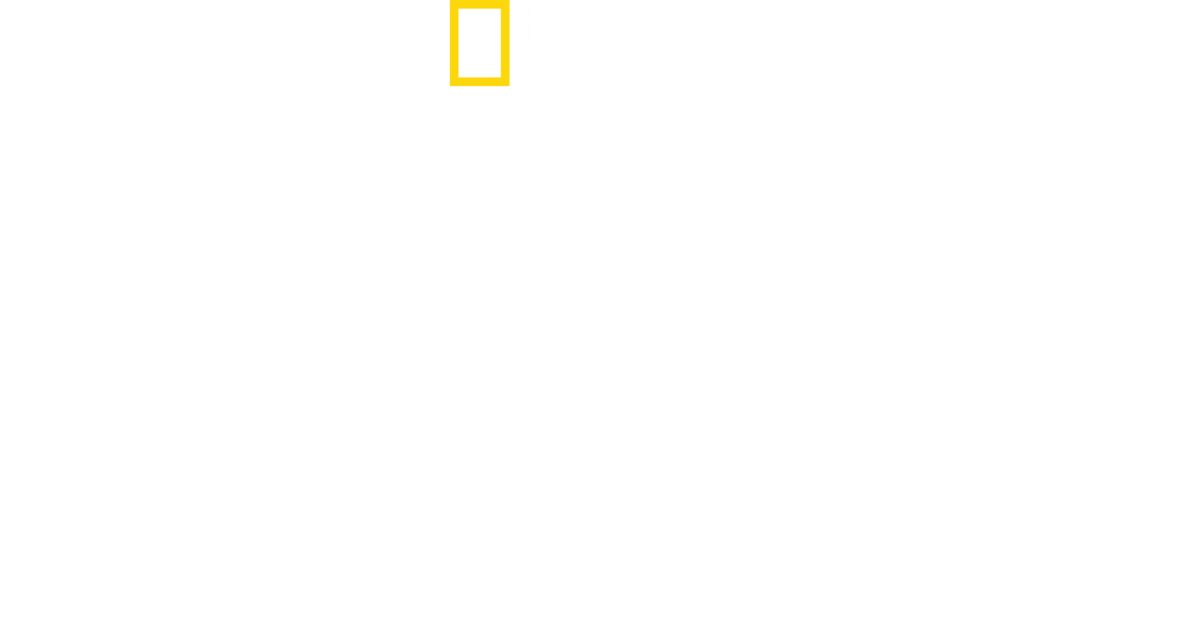 鯊魚海豚浴血戰