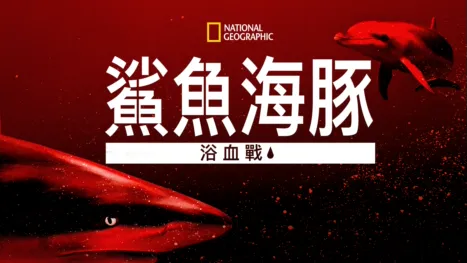 thumbnail - 鯊魚海豚浴血戰
