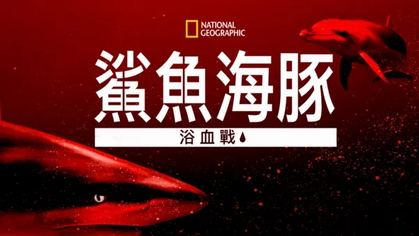thumbnail - 鯊魚海豚浴血戰