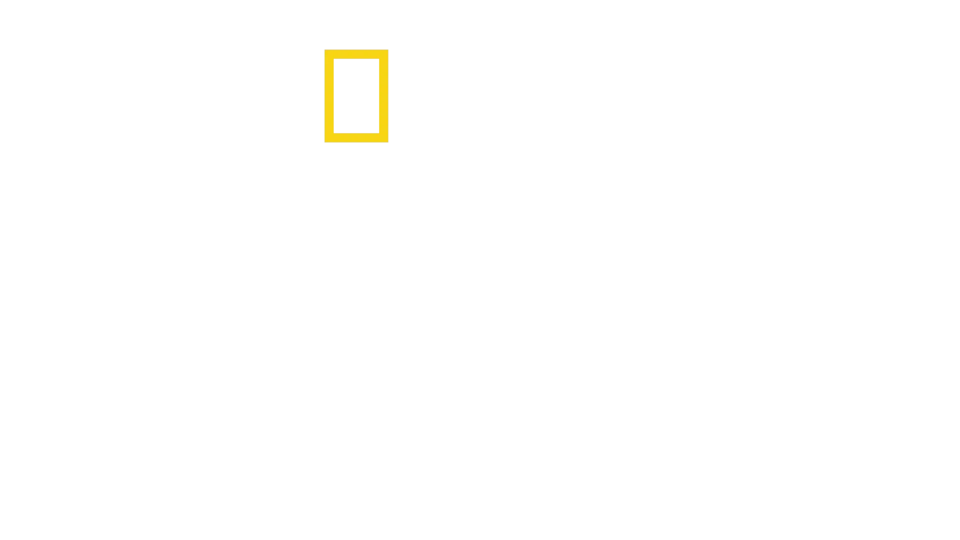 En Busca de Amelia