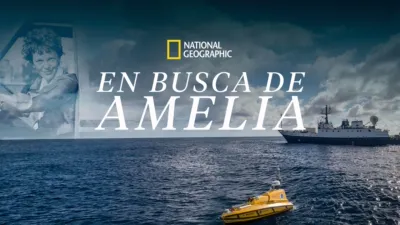 En Busca de Amelia