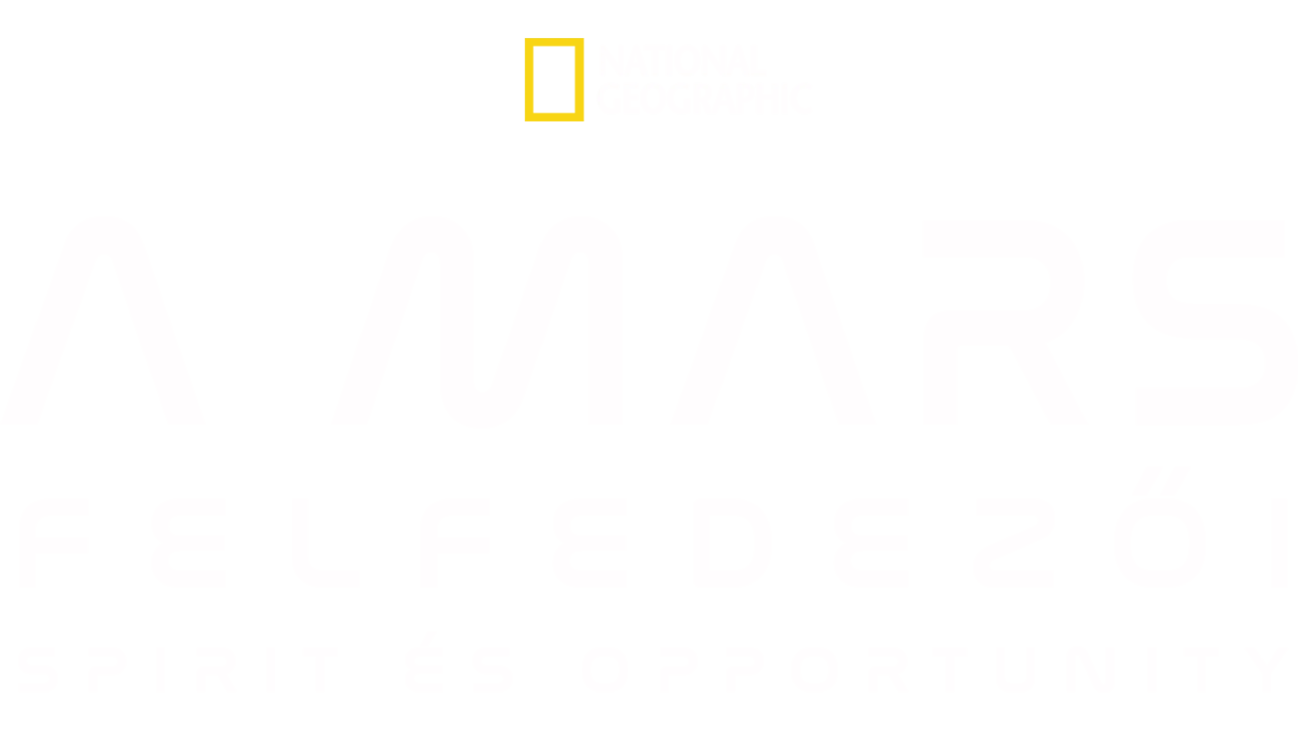 A Mars felfedezői: Spirit és Opportunity
