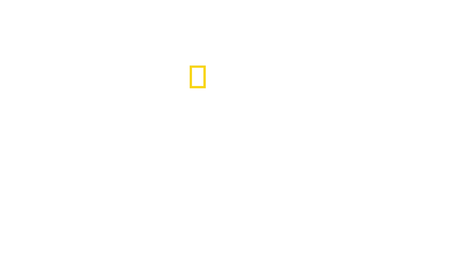 I segreti di…