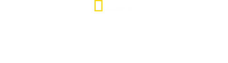 I segreti di…